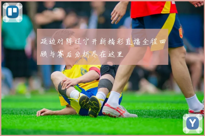 延边对阵辽宁开新精彩直播全程回顾与赛后分析尽在这里