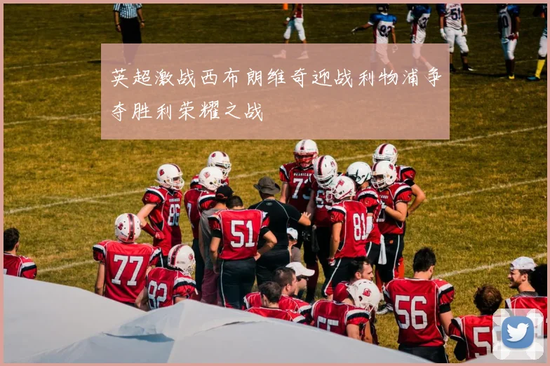 英超激战西布朗维奇迎战利物浦争夺胜利荣耀之战