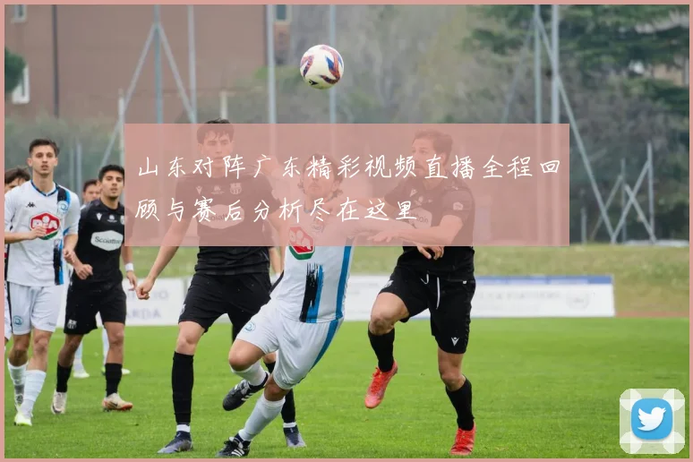 山东对阵广东精彩视频直播全程回顾与赛后分析尽在这里