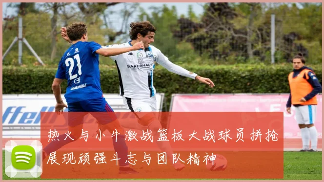 热火与小牛激战篮板大战球员拼抢展现顽强斗志与团队精神